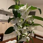 Loaz Relais Agriturismo Ξενοδοχείο Loazzolo